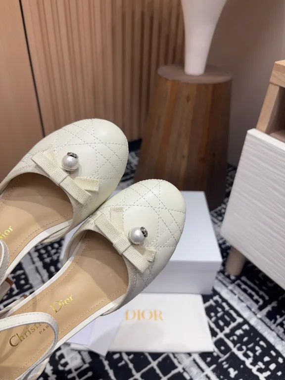 Dior Shoe 